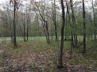 S Extension Rd, Cheboygan, MI 49721