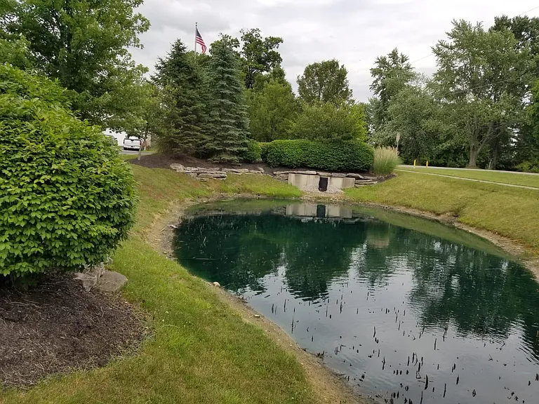 neighborhood pond
