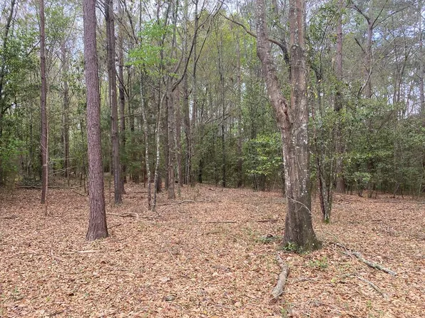 (undisclosed Address), Nashville, GA 31639