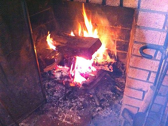 Working Fireplace