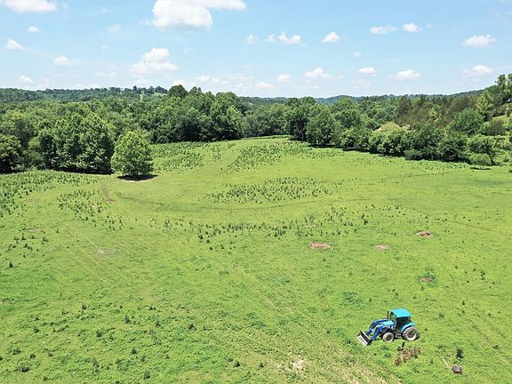 Look at that lush green pasture field along the southwest portion of the property