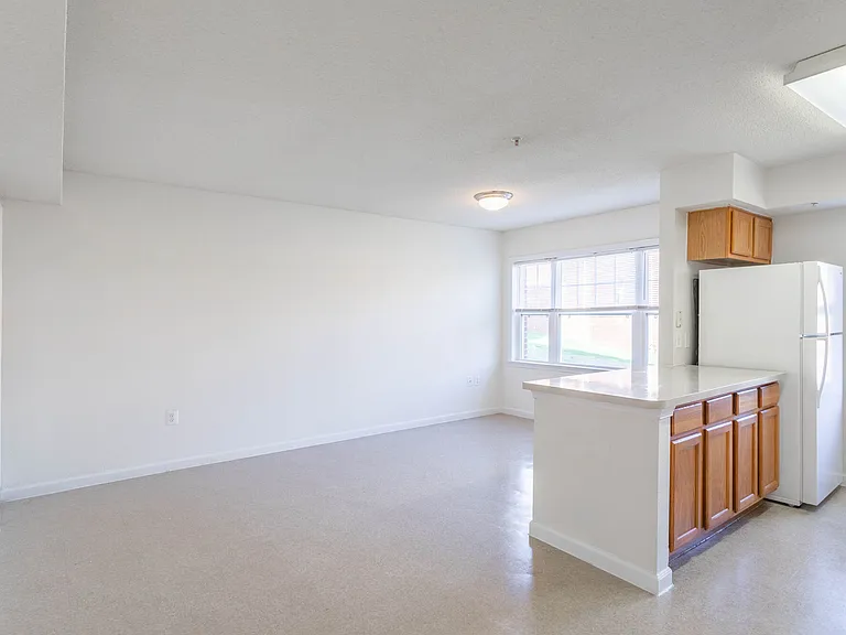 Kitchen and Living Room Area Flow