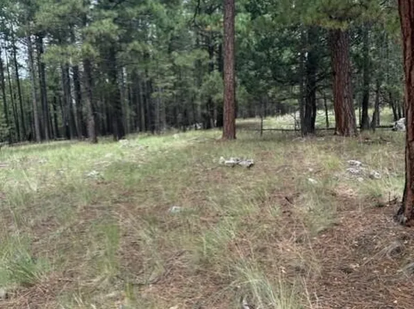 00 Coconino Forest Road 137A -- #0, Happy Jack, AZ 86024