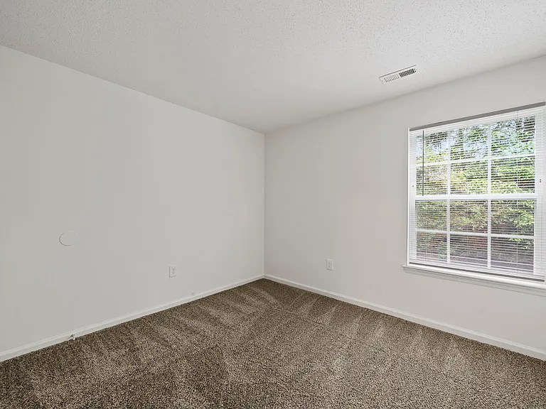 Salem Run Apartment Homes — Photo 18