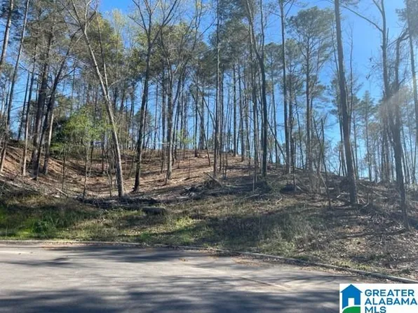 Eagle Wood Ct #182A, Birmingham, AL 35242
