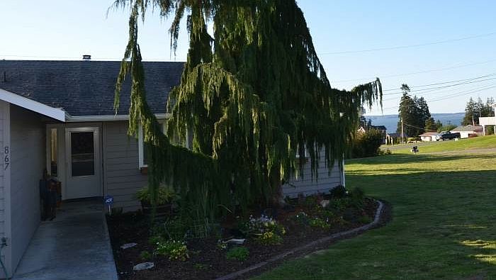 1st image of 867 4th St