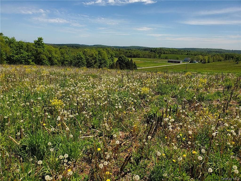 30 Brog Road, Jeffersonville, NY 12748 Zillow