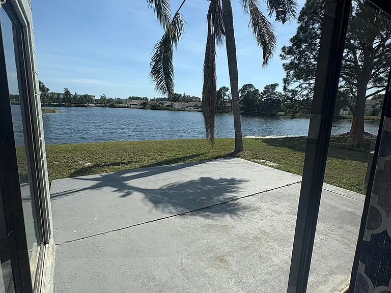 back patio view