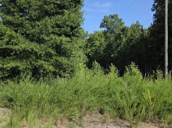 Longleaf Ct Lot 7, Ridgeway, SC 29130