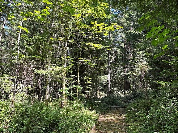 2nd image of 0 Mountain Road