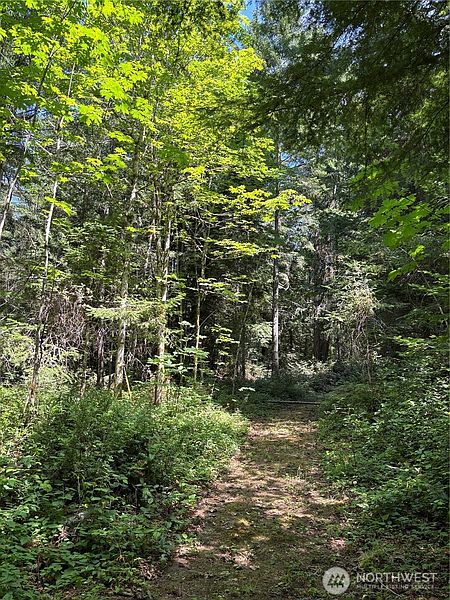 2nd image of 0 XXX Mountain Road