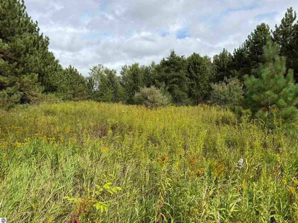 V/l 185th Ave, Leroy, MI 49655