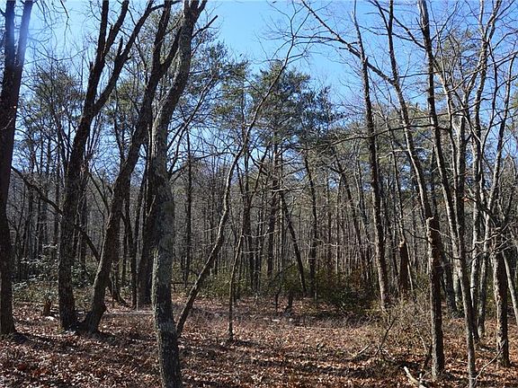 4th image of 1010-1372 Hanging Rock Park Rd