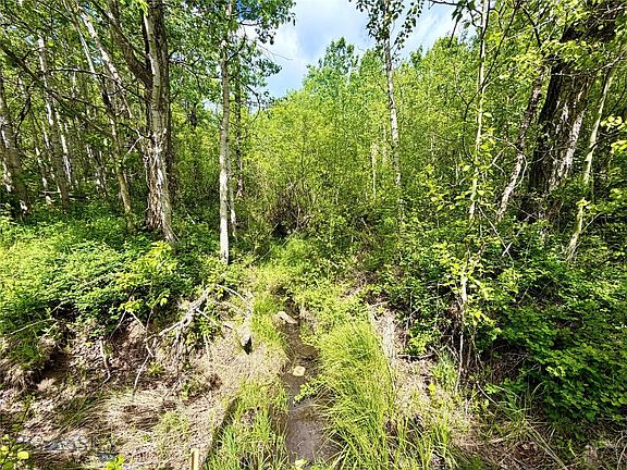 5th image of 8 Arlie Tract