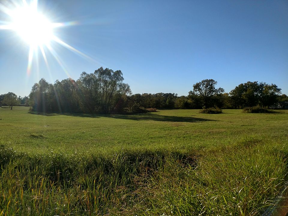 View from stop sign