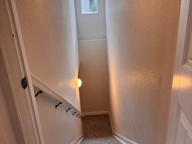 12996 S Sibrica St — Photo 31