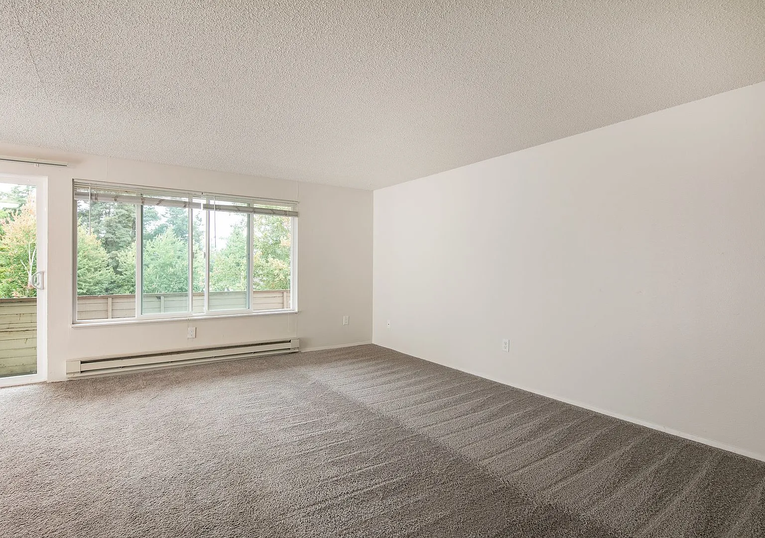 Cortina Apartments — Photo 4