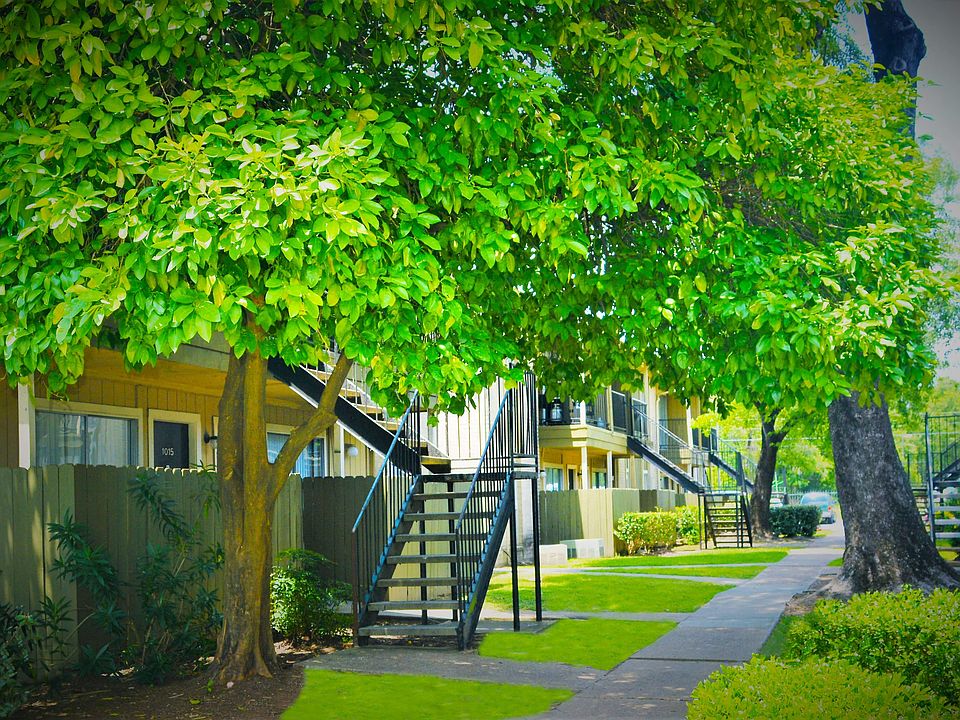 Pine Creek 470 Maxey Rd Houston TX Zillow