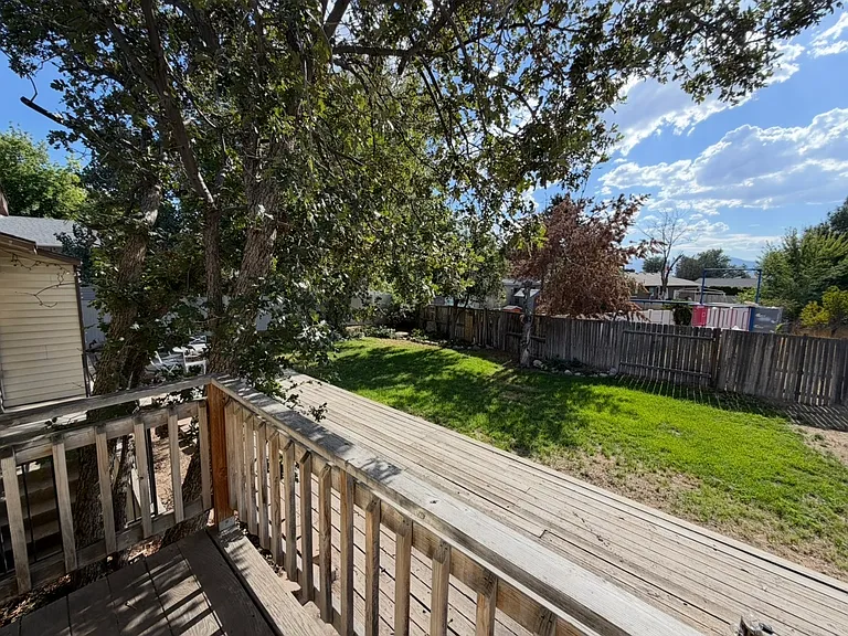 10680 S Carrington St — Photo 46