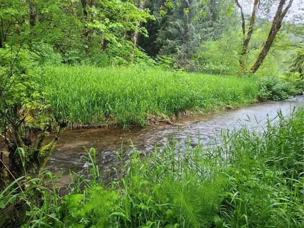 0 XXX US Hwy 12, Glenoma, WA 98336