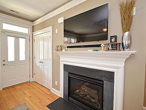 Living room (fireplace)