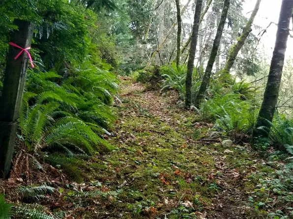 11201 SW Cedarhurst Road, Vashon, WA 98070