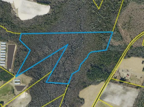 60 Acres 60 Ac Rom M. Smith Tract, Elizabethtown, NC 28337
