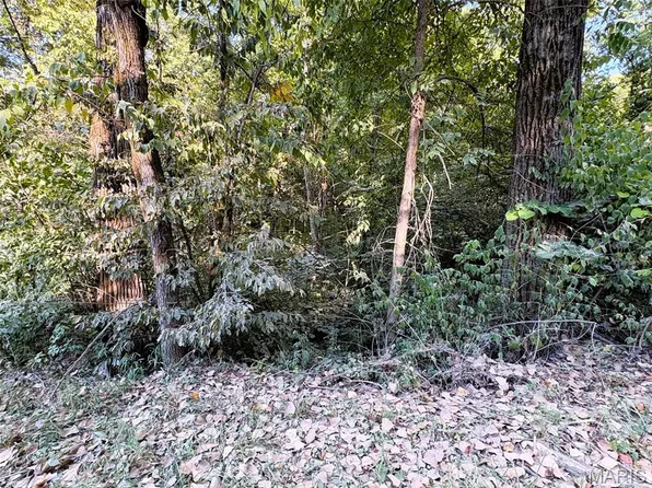 78 Skyline Dr S, New Florence, MO 63363