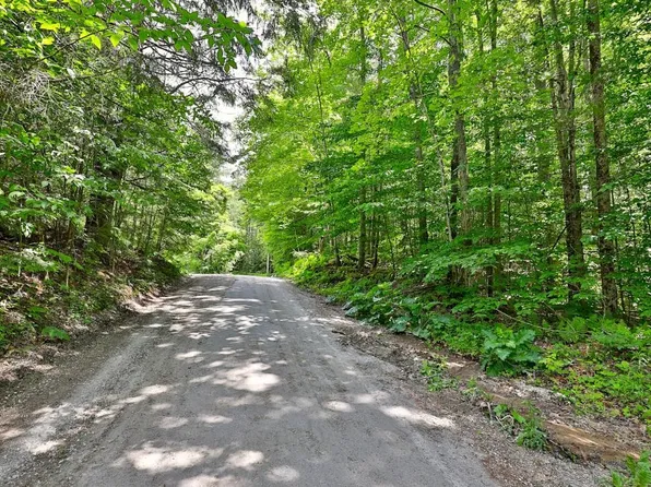 42 Blue Ridge Road, Chittenden, VT 05737
