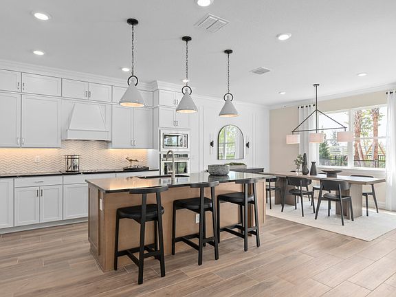 Model Representation