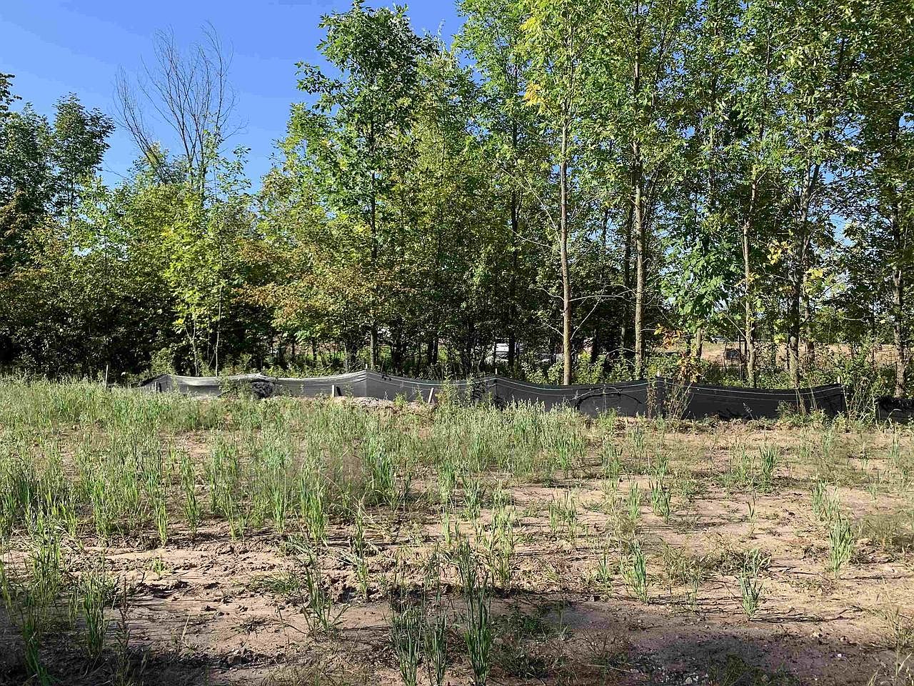 1623 GRACE GARDEN WAY #2