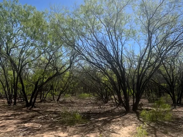 LOT 1 IH 37 S, Pleasanton, TX 78064