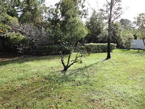 Backyard 1