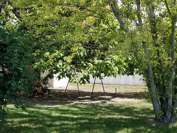 back yard
