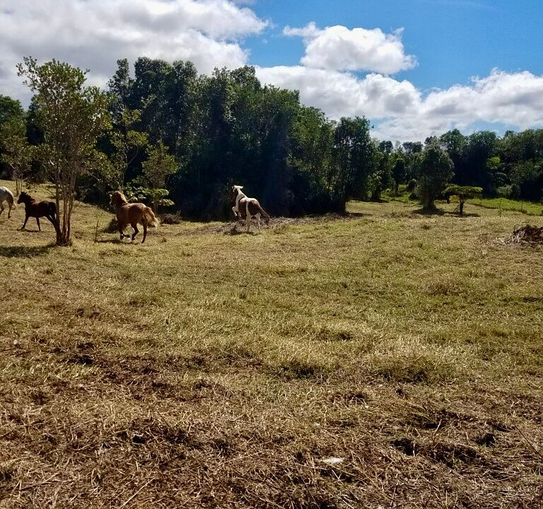 1st image of 18-4292 Luna Ikena Rd Lot 336B