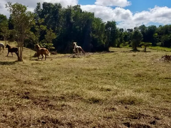 18-4292 Luna Ikena Rd Lot 336B, Mountain View, HI 96771