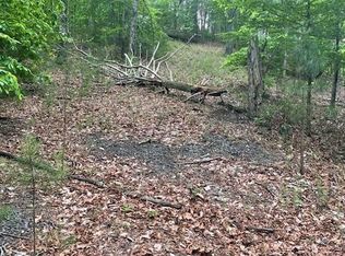 356 Orieole Ct #356, Ranger, GA 30734