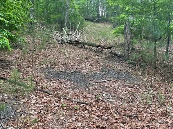 356 Orieole Ct #356, Ranger, GA 30734