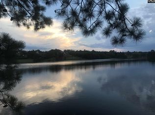 20 Beaver Lake Ct, Elgin, SC 29045