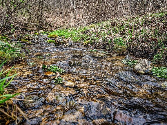 4th image of E11695 Chadwick Hollow ROAD