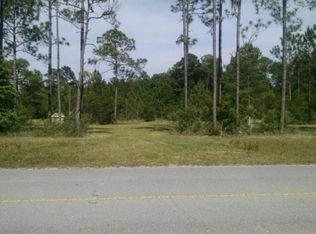 1419 Nolan Rd, Middleburg, FL 32068