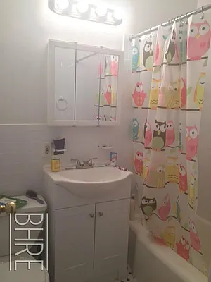 Rented by Brooklyn Heights Real Estate Inc | media 10