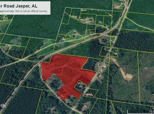 2461 Trotter Rd, Jasper, AL 35503