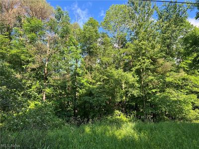 State Line Rd, Pierpont, OH, 44082