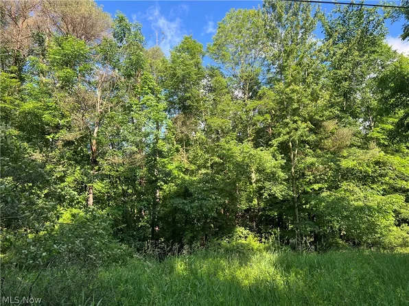State Line Rd, Pierpont, OH 44082