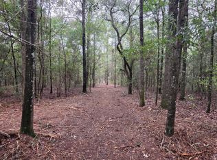 0 County Road 10, Samson, AL 36477