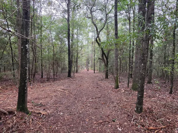 0 County Road 10, Samson, AL 36477