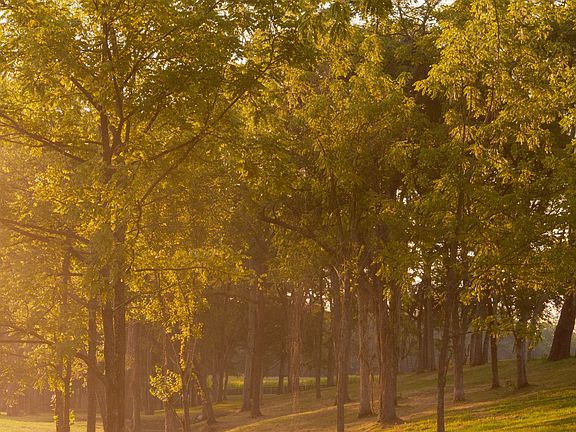 77th image of this home