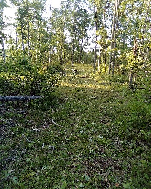 2nd image of 1809 Bear Creek Rd