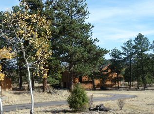 298 Heron Ct, Bailey, CO 80421